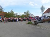 Maibaum_2016 (91).JPG